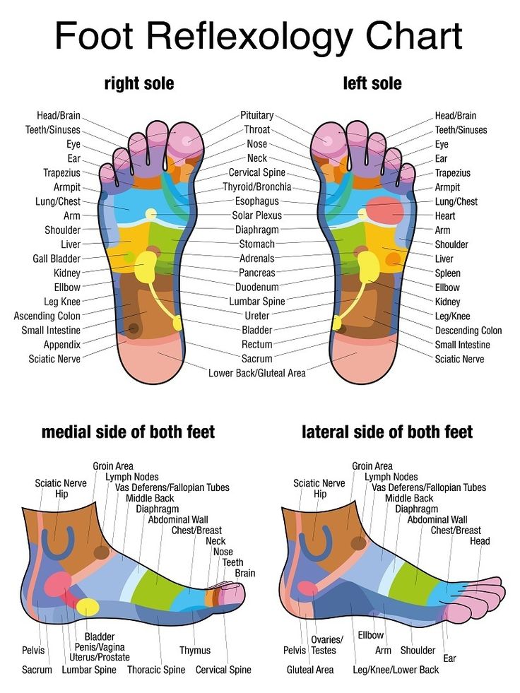 Reflexology Sexuality Chart