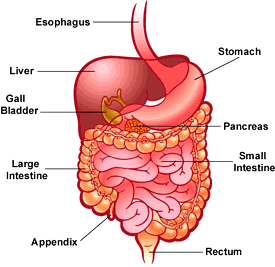 Ajirna , Dyspepsia