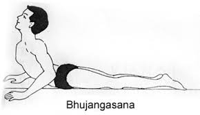 Bhujangasana