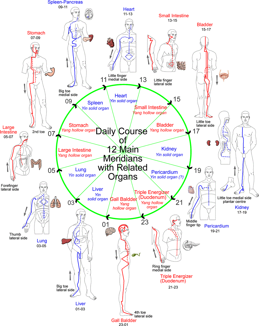 meridians, meridians chart