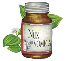 Nux Vomica (Nux-v)