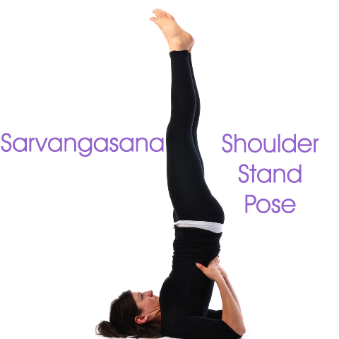 Sarvangasana