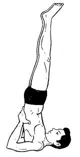 Sarvangasana