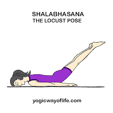 Shalabhasana