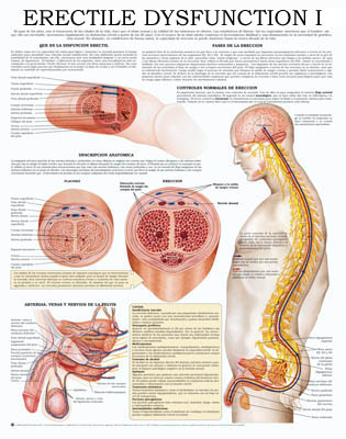  ayurveda erectile dysfunction